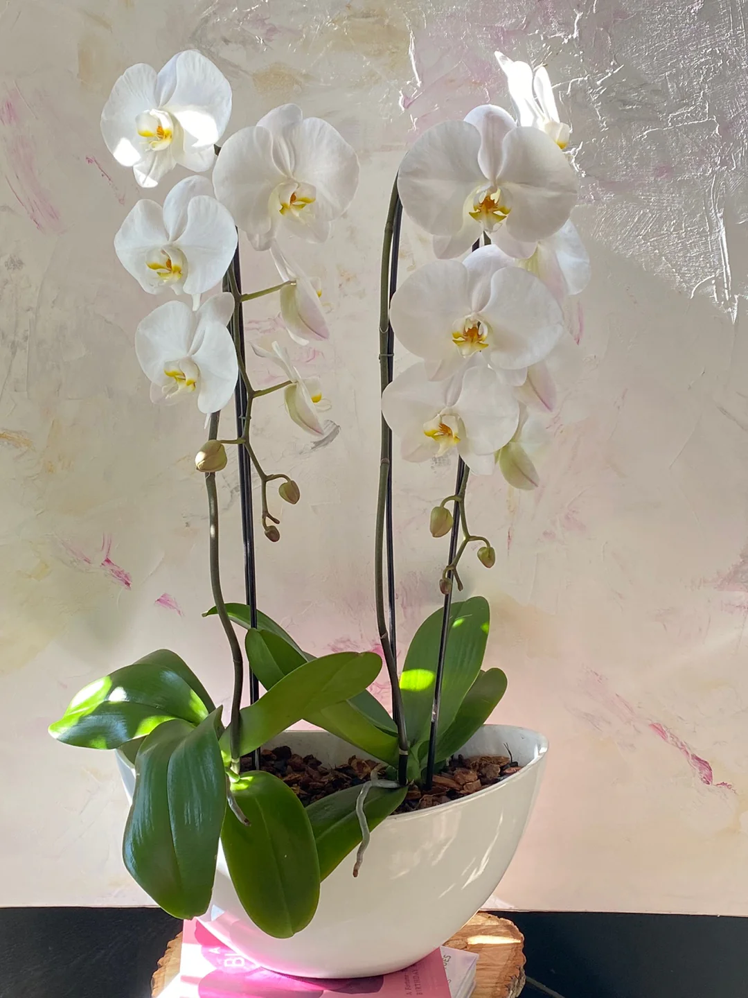 Orchids in a Boat - Image 5