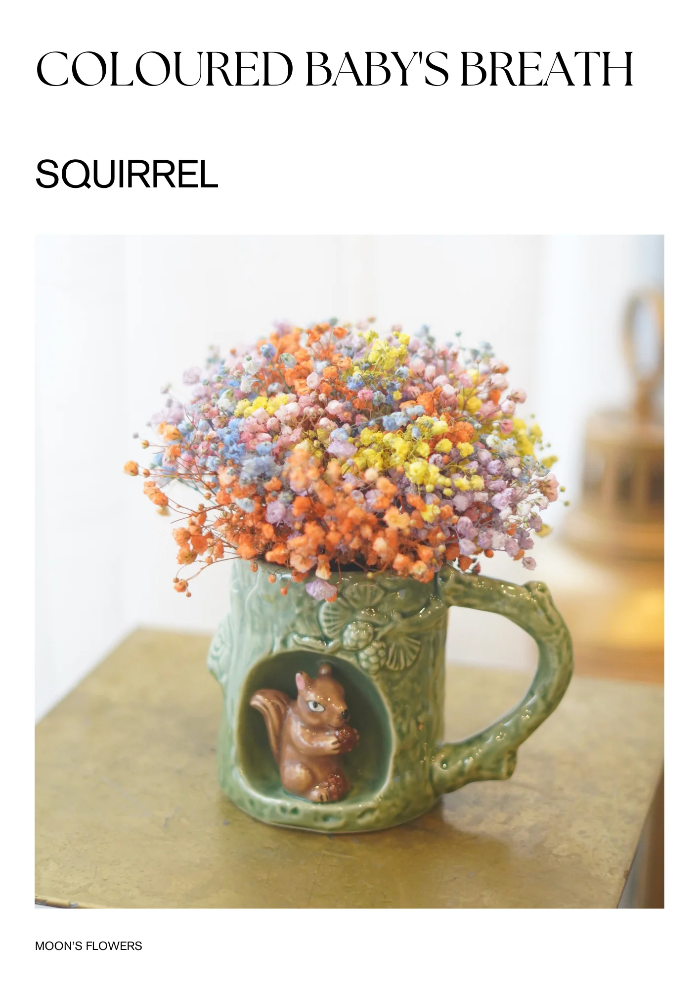 Coloured Babys Breath In A Cup - Image 3