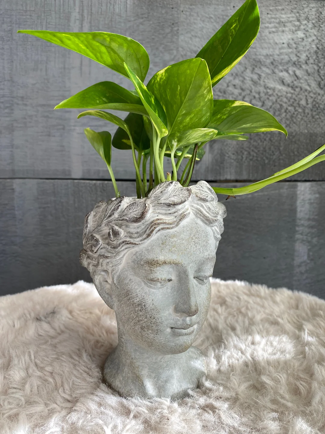 Queen's Head - Image 4