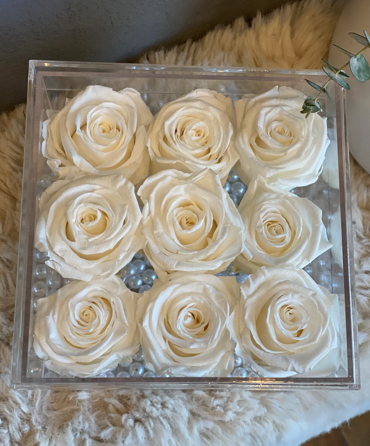 Preserved Rose in Acrylic Box-9 - Image 5