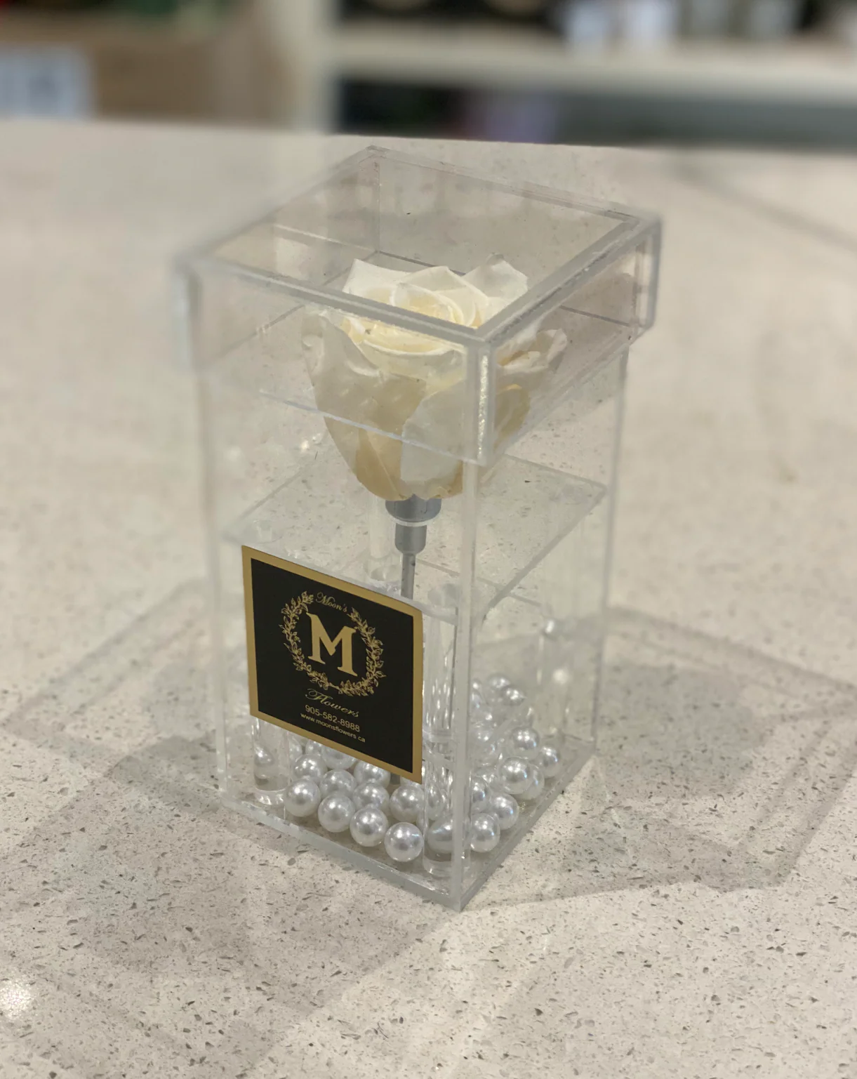 Valentine's Day - Single Preserved Rose Acrylic Box - Image 3